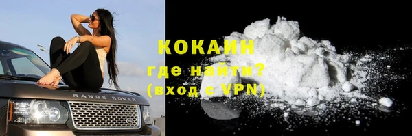 молекула духа Козловка