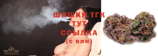 молекула духа Козловка