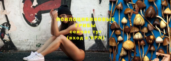 молекула духа Козловка