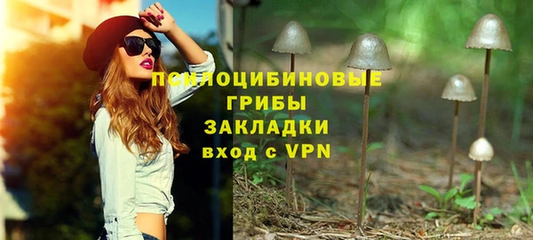 молекула духа Козловка